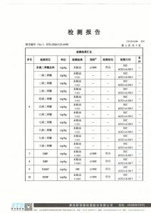 检测报告4